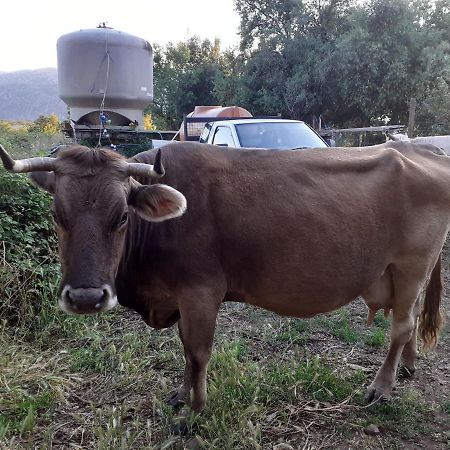 Agriturismo Codula Fuili Cala Gonone Kültér fotó