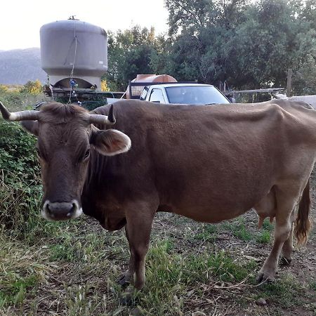 Agriturismo Codula Fuili Villa Cala Gonone Kültér fotó