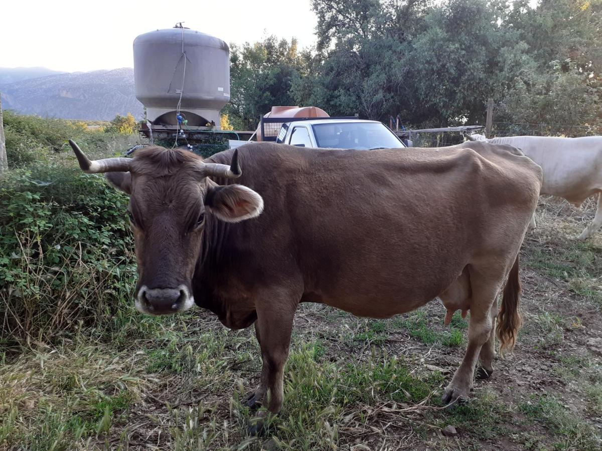 Agriturismo Codula Fuili Cala Gonone Kültér fotó
