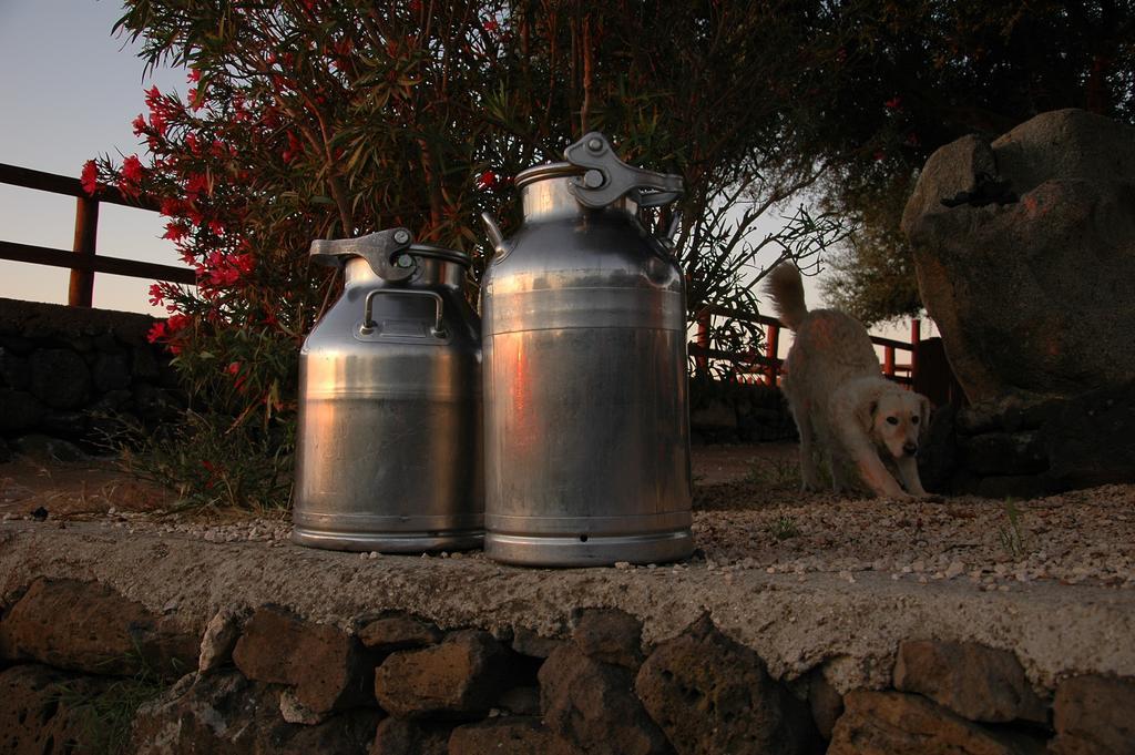 Agriturismo Codula Fuili Cala Gonone Kültér fotó
