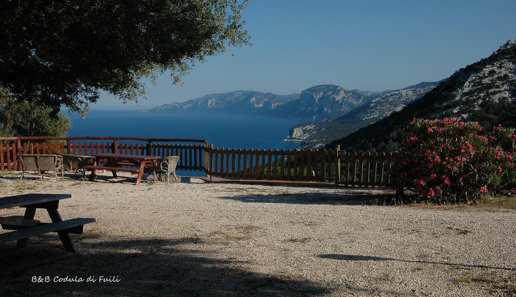 Agriturismo Codula Fuili Villa Cala Gonone Szoba fotó