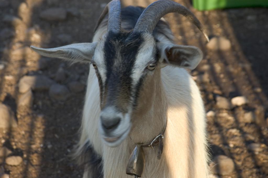 Agriturismo Codula Fuili Cala Gonone Kültér fotó