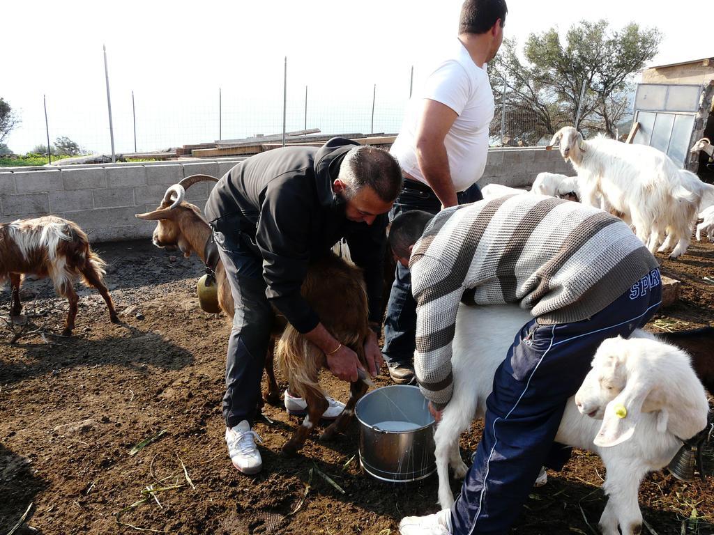 Agriturismo Codula Fuili Cala Gonone Kültér fotó
