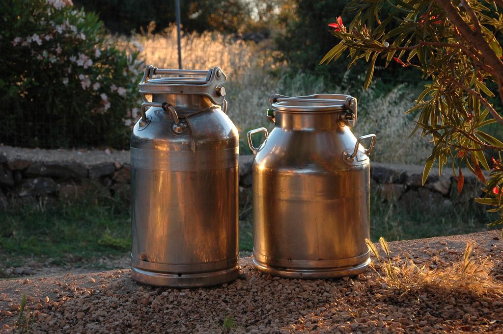 Agriturismo Codula Fuili Villa Cala Gonone Kültér fotó