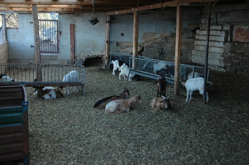 Agriturismo Codula Fuili Villa Cala Gonone Kültér fotó