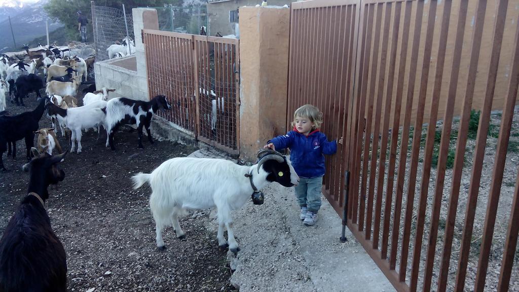 Agriturismo Codula Fuili Cala Gonone Kültér fotó