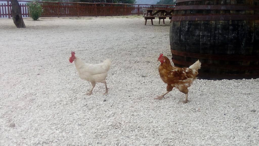 Agriturismo Codula Fuili Cala Gonone Kültér fotó